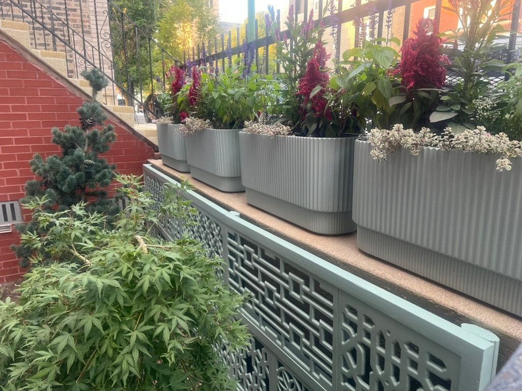 Outdoor planters with colorful blooms